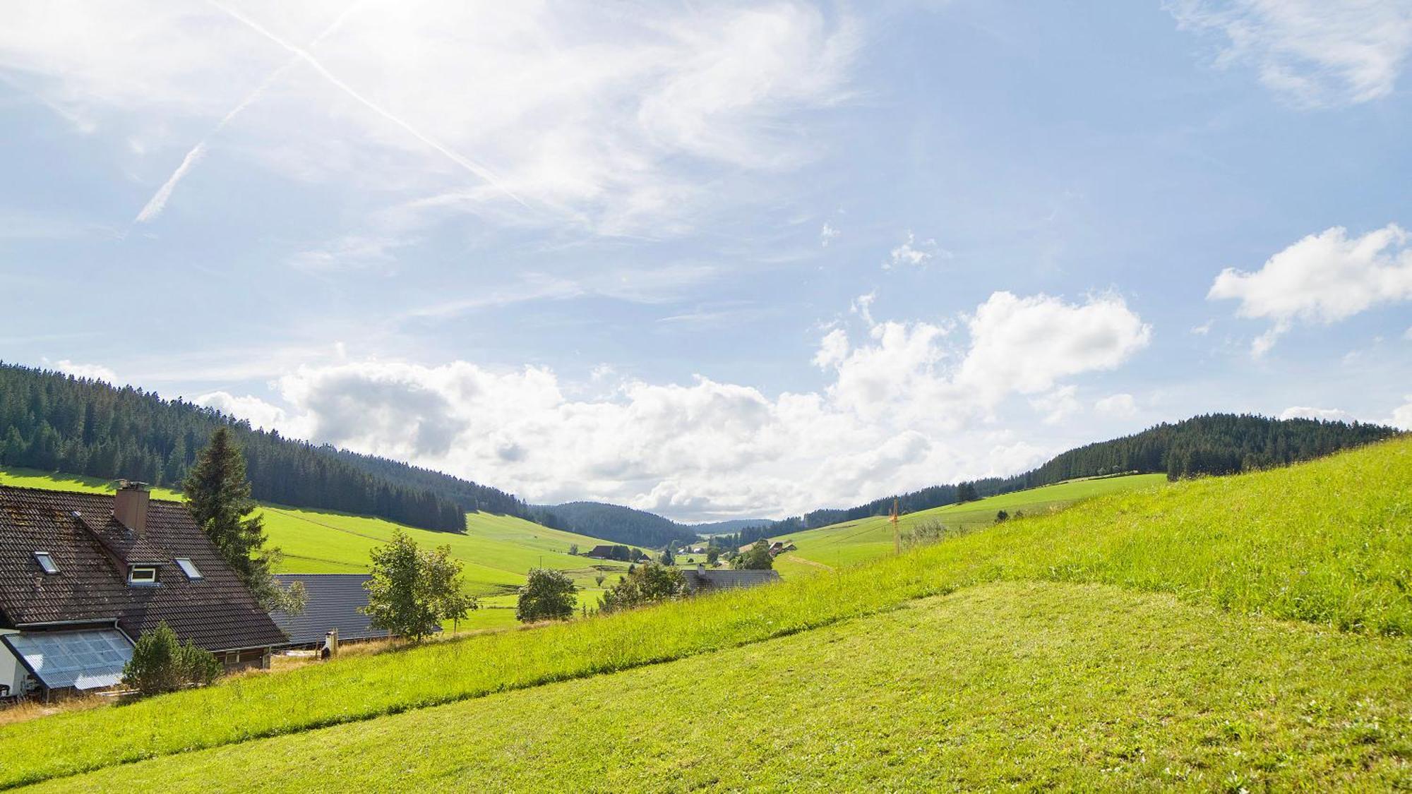 Apartamento Haus Zum Sternen Vöhrenbach Exterior foto